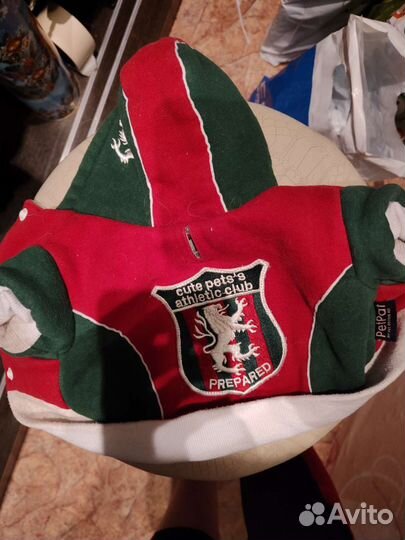 Одежда и поводок для собаки