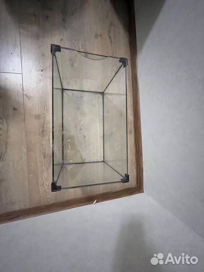 Аквариумные рыбки