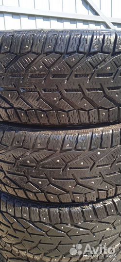 Tigar Ice 195/55 R15