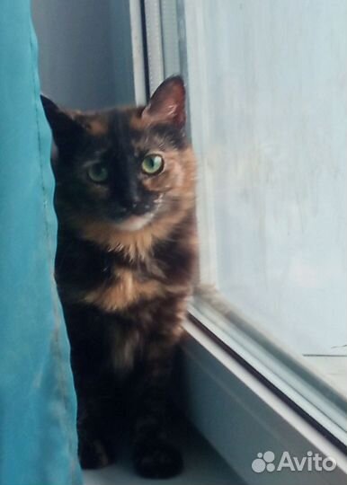 Подарите дом