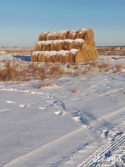 Продаётся сено