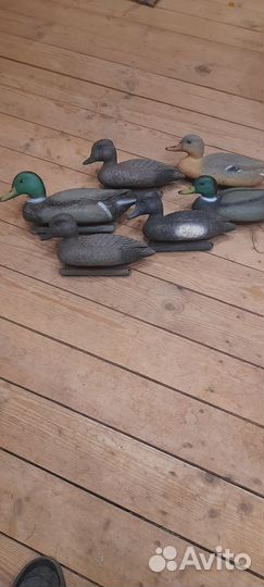 Чучела уток для охоты