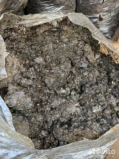 Удобрение, грибные блоки