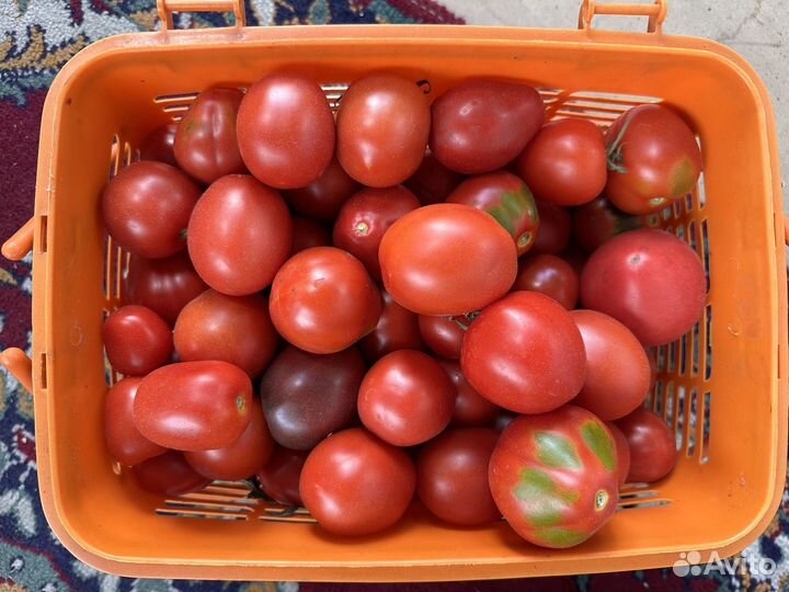 Помидоры свежие домашние