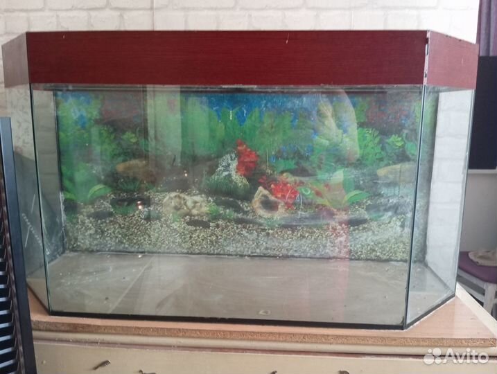 Аквариум