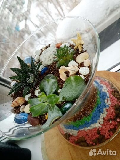 Флорариумы сухие аквариумы