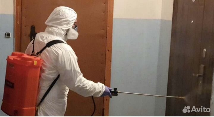 Дезинсекция. Уничтожение тараканов, муравьев