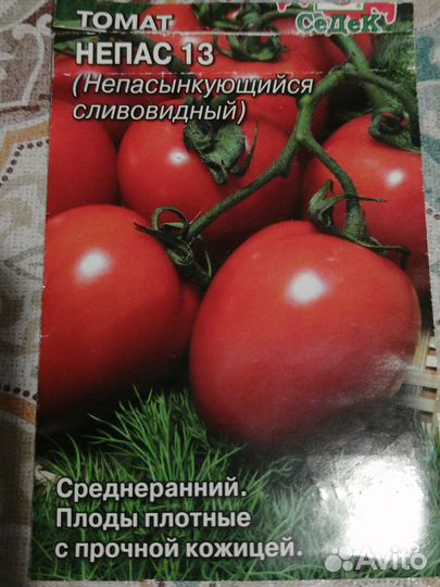 Рассада помидор