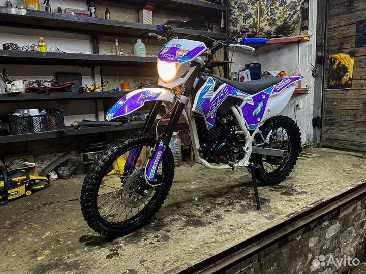BSE z1