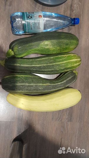 Кабачки свежие