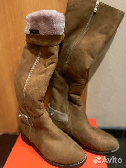 Сапоги женские демисезонные