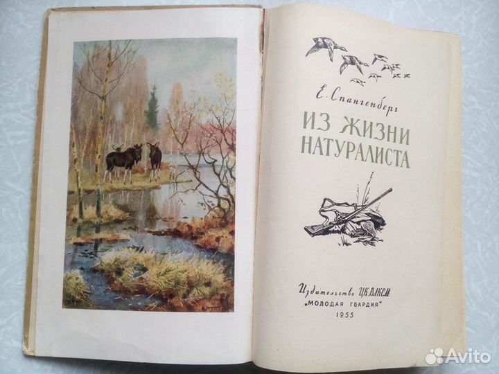 Спангенберг. Из жизни натуралиста. 1955 год