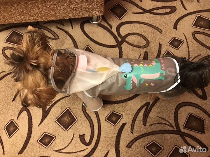 Дождевик для средней собаки