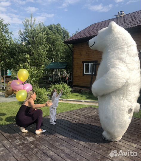 Белые мишки. Панды. Организация праздников