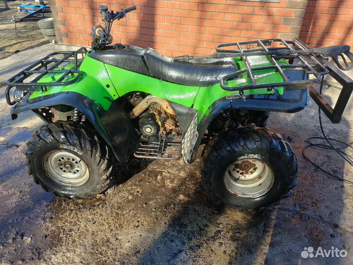 Arctic Cat bearcat 454