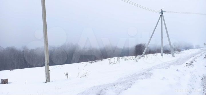 Участок 50 сот. (ИЖС)