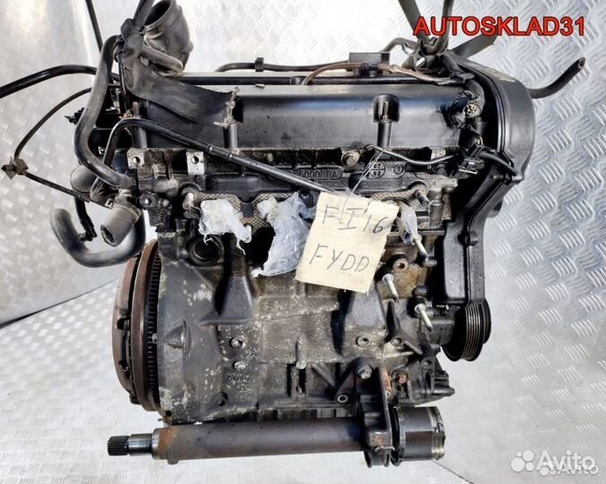 Двигатель fydd Ford Focus 1 1.6 Бензин