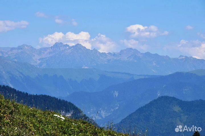 Турпутевка в Абхазию на 5 нч