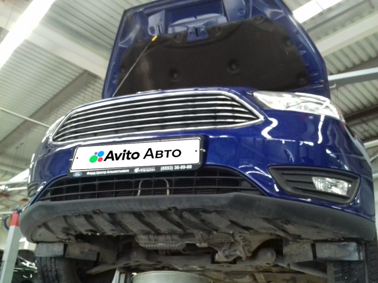 Ford Focus: фото владельца