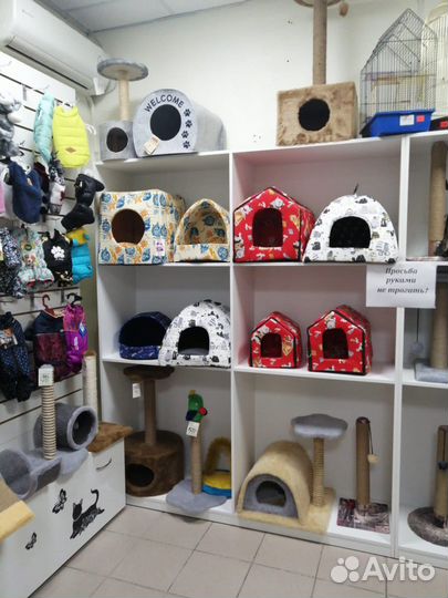 Травка для кошек