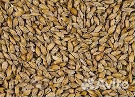 Пшеница, ячмень, комбикорма для с/х животных