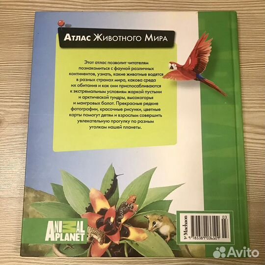Атлас животного мира