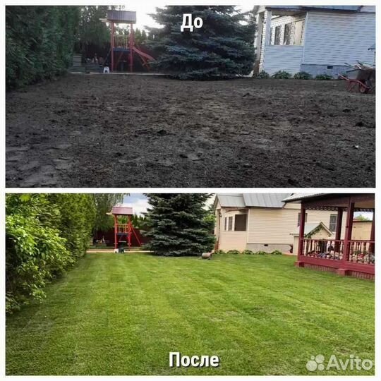 Рулонный газон напрямую от производителя