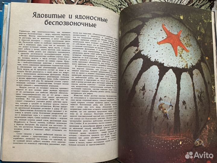 Книги о природе и подводном мире