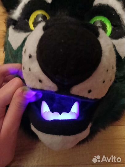 Фурсьют собаки