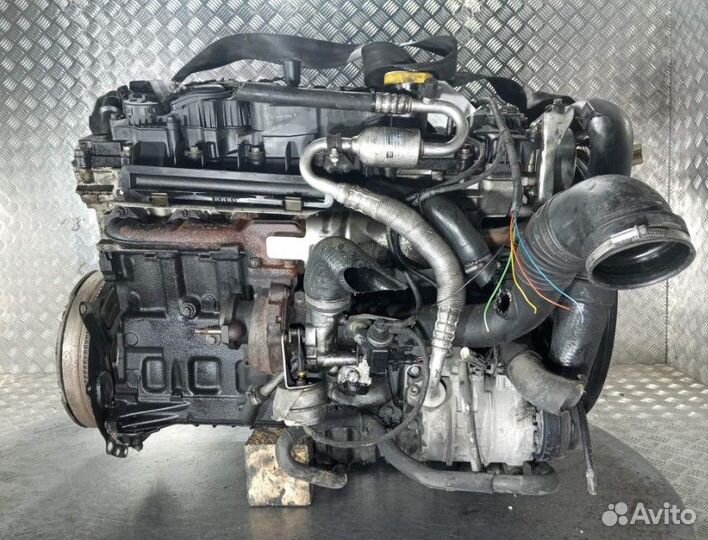 Двигатель Y25DT Opel Omega B Рестайлинг 2.5 Дизель