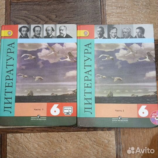 Учебник по литературе 6 класс 2 части
