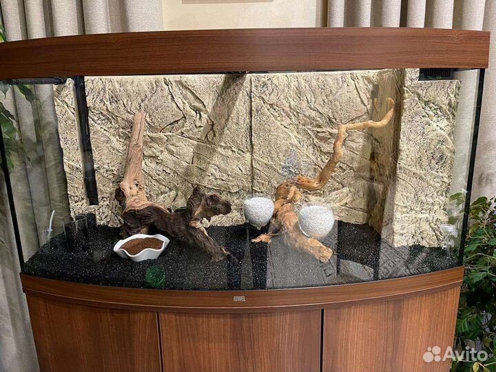 Все виды аквариумных услуг