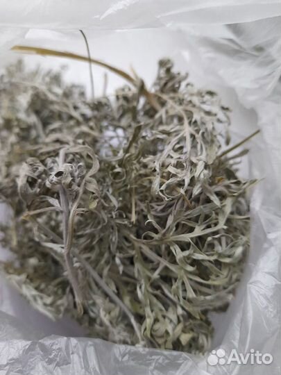 Трава полынь серебристая, алтарная, для ритуалов