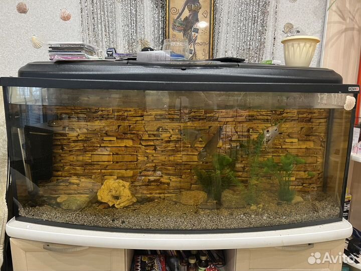 Аквариум 200 литров с тумбой