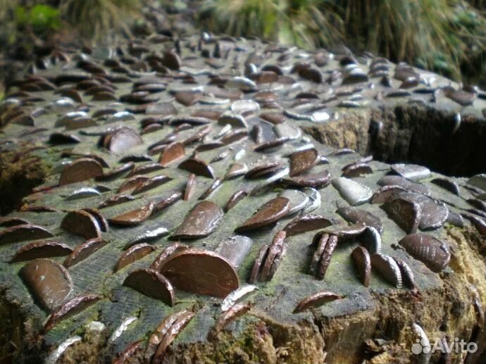 Металлодетектор BH Land Ranger PRO