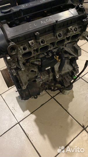 Двигатель Ford Focus 2 2.0 A0DA