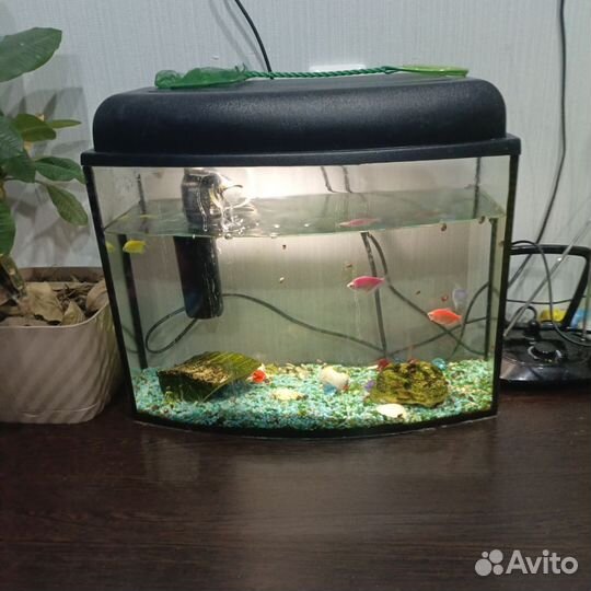 Аквариум