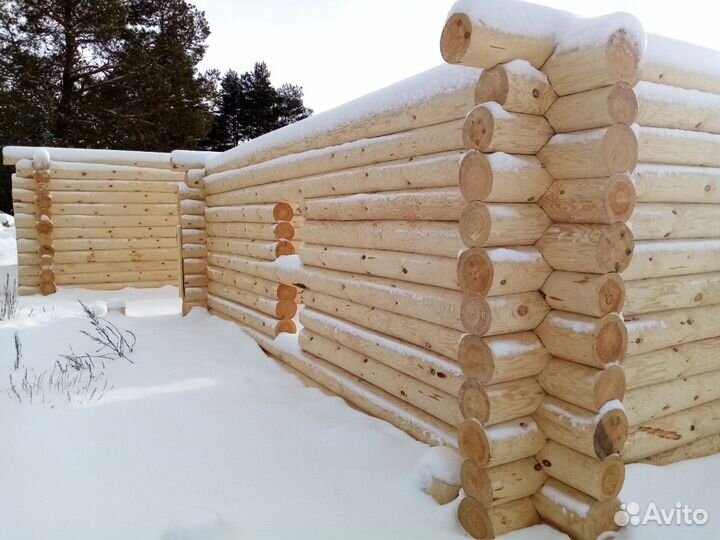 Срубы бань и домов