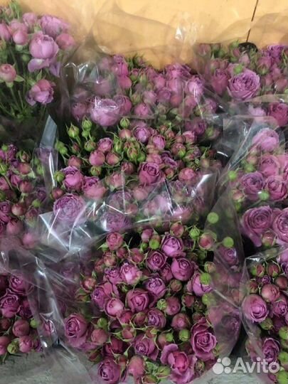 Кустовые розы микс оптом и в розницу