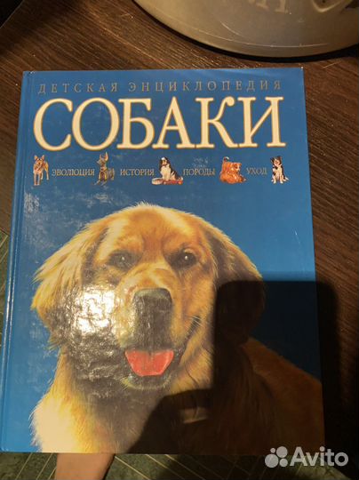 Детские энциклопедии