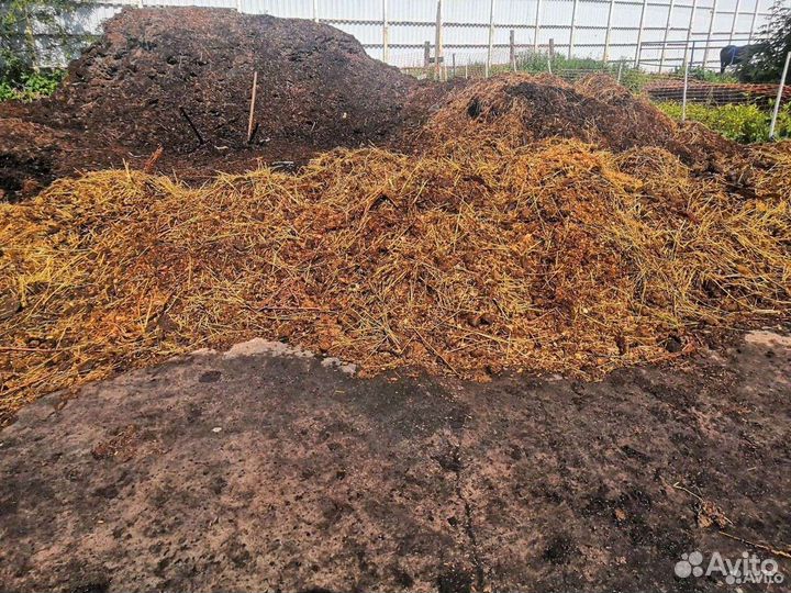 Перегной конский бесплатно