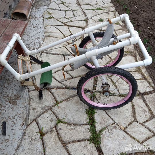 Каляска инвалидная для собаки бу