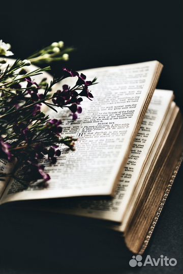 Стихи и песни на заказ