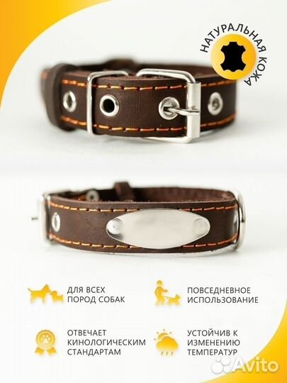 Кожаные ошейники для собак с адресником
