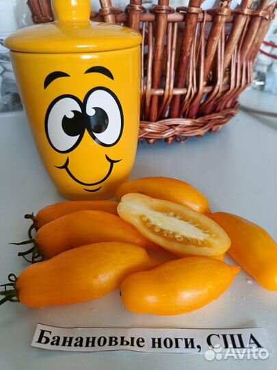 Семена коллекционных томатов - 76 сортов