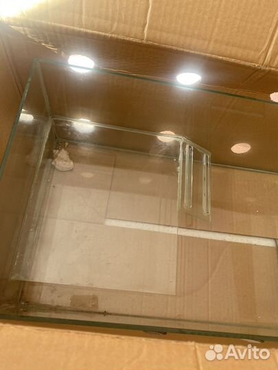 Аквариум с ракушками