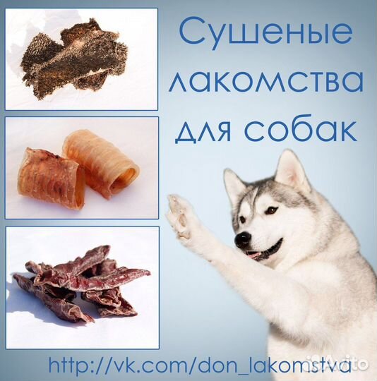 Сушеное лакомство