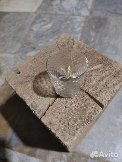 Стопка с пулей