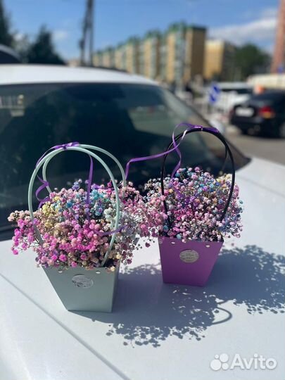 Гипсофила в корзине