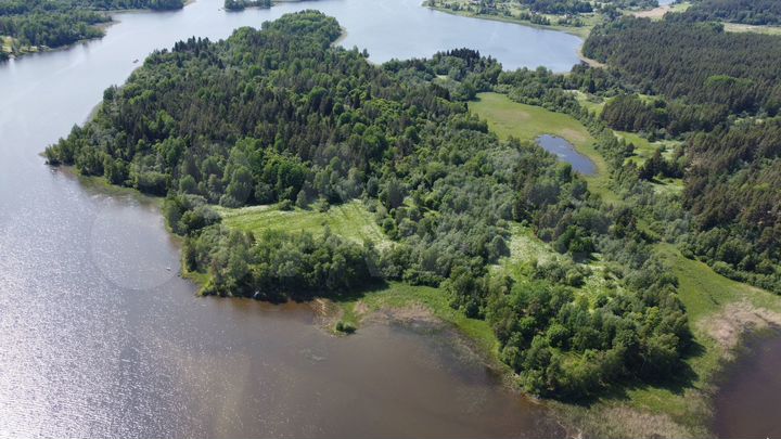 Участок 5,5 га (ИЖС)